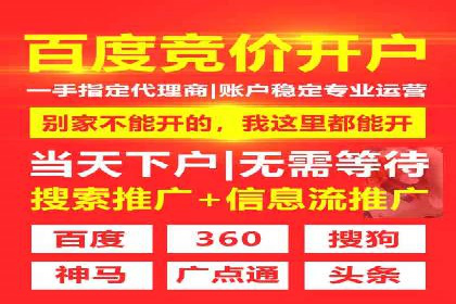SEM服务公司助力企业国际化案例